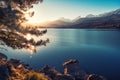 Sun filtering through pine tree above lake Calacuccia in Corsica