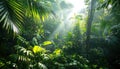 Sun filtering through trees in lush jungle landscape Royalty Free Stock Photo