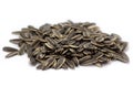 Sun Flower Seed