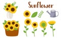 The element of sunflower set
