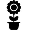 sun flower Silhouette, Black Glyph icon Royalty Free Stock Photo