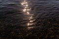 sun glare and colorful gold pebbles in the clear blue water of lake baikal, ripples, summer Royalty Free Stock Photo