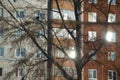 sun glare from the windows of the house through the branches of trees on a winter morning