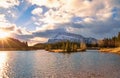 Sun Glow Over A Banff Mountain Park Royalty Free Stock Photo