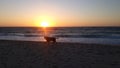 Sunset Dog Beach