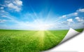Sun and green fresh grass field blue sky sticker Royalty Free Stock Photo