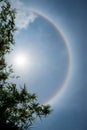 Sun halo in blue sky with cloud behind the leaves