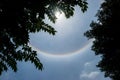 Sun halo in blue sky with cloud behind silhouette leaves
