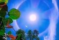 Sun Halo,sky, nature, rainbow round the sun Royalty Free Stock Photo