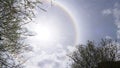 Sun halo white some rock and tree branches