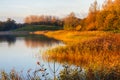 Autumn colors at the lake of the Geestmerambacht recreational area.The soft light of the newly risen sun gives the trees and reeds Royalty Free Stock Photo