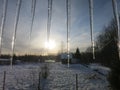 The sun through the icicles.Winter came.