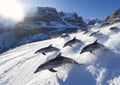 Sun-Kissed Adventure: A Spectacular Sight of Dolphins, Snow, and Royalty Free Stock Photo