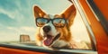 Sun-Kissed Adventures Cute Cardigan Welsh Corgi Dog with Shades and Leash on Summer Road Trip - Generative AI Royalty Free Stock Photo