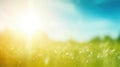 Sun-Kissed Meadow Bliss. Royalty Free Stock Photo