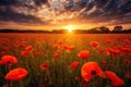 Sun-kissed Poppy Fields - Generative AI