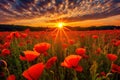 Sun-kissed Poppy Fields - Generative AI