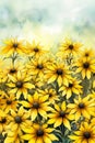 Sun-Kissed Serenity: A Dazzling Daisy Field Drawing with a Majes Royalty Free Stock Photo