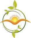 Sun leaf logo Royalty Free Stock Photo