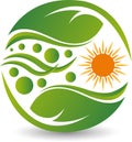 Sun leaf logo Royalty Free Stock Photo