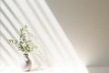 Sun light and soft shadows falling on white wall and table with vase. Minimalistic interior details background with