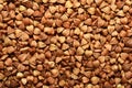 Sun-lighted buckwheat grain seeds closeup