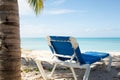 Sun lounge by palm tree Royalty Free Stock Photo