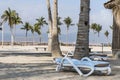 Sun lounger between palms tropical beach oman salalah souly bay Royalty Free Stock Photo