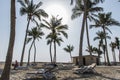 Sun lounger between palms tropical beach oman salalah souly bay Royalty Free Stock Photo