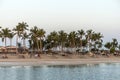 Sun lounger between palms tropical beach oman salalah souly bay 29 Royalty Free Stock Photo