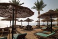 sun loungers on the beach. sun loungers and palms on the sandy beach