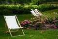 Sun loungers in the garden among flowering pink hydrangeas Royalty Free Stock Photo