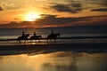 An outline forms with sunrise coming of a group of horseback riders Royalty Free Stock Photo