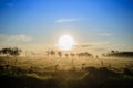 The sun of morning Royalty Free Stock Photo