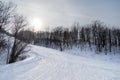 An empty ski run through bare trees Royalty Free Stock Photo