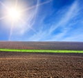 Sun over arable field with green line Royalty Free Stock Photo