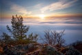 Sun over clouds landcape with tree Royalty Free Stock Photo