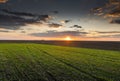 Sun Over Rural Countryside Wheat Field Royalty Free Stock Photo