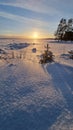 The sun over the snow-covered  lake in winter Royalty Free Stock Photo