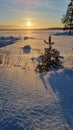 The sun over the snow-covered  lake in winter Royalty Free Stock Photo