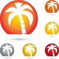 Sun and palm tree, turism and travel logo