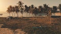 Sun paradise island aerial. Traditional boat at grass sea shore. Tourists at palm trees. Sand beach