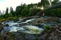 Sun peaking through foliage behind rapids