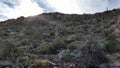 Sun peeking at the Saguaro Royalty Free Stock Photo