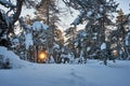 Sun peeking through snowy forest in mouuunntains