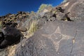 Sun petroglyph, Petroglyph National Monument, Albuquerque, New Mexico