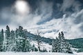 Winter landscape at Dunraven Pass, Yellowstone NP