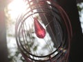 Sun through the pink Wind chime