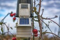 Sun powered meteorology station on the apple plants Royalty Free Stock Photo