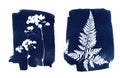 Sun printing, cyanotype process. Floral pattern on watercolor paper. Royalty Free Stock Photo